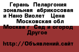 Герань( Пеларгония зональная) абрикосовая и Нано Виолет › Цена ­ 200 - Московская обл., Москва г. Сад и огород » Другое   